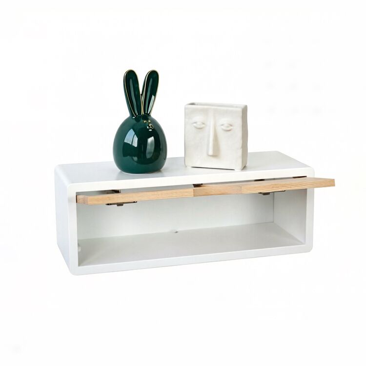 Adjustable Wall Storage Cabinet