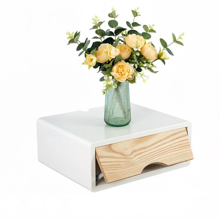 Adjustable Wall Storage Cabinet