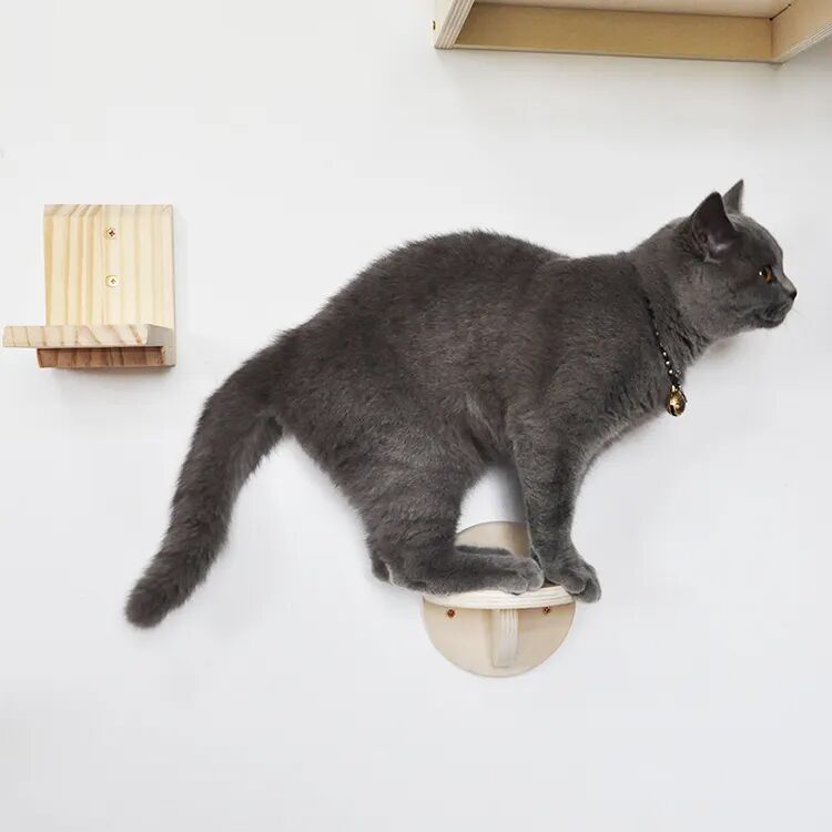 Minimalist Round Wooden Wall-Mounted Cat Climbing Step - Image 2