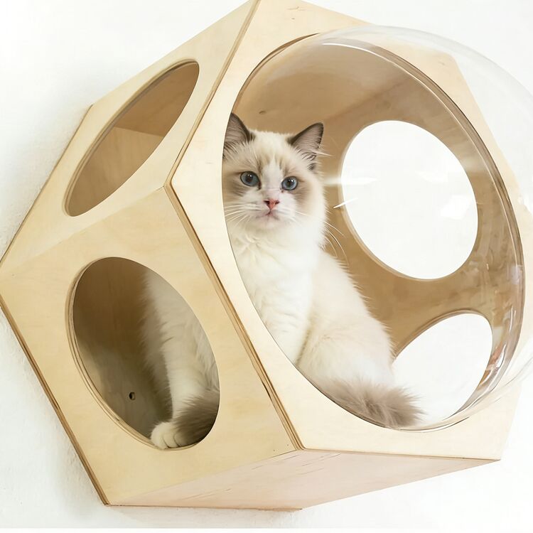 Wall-Mounted Hexagonal Wooden Cat Bed with Acrylic Space Capsule - Image 2