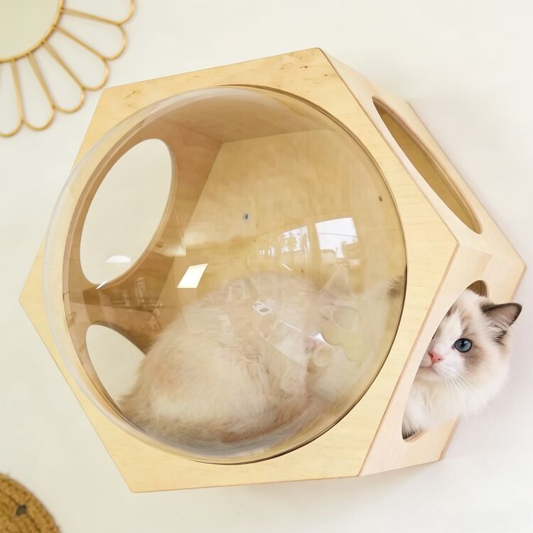 Wall-Mounted Hexagonal Wooden Cat Bed with Acrylic Space Capsule
